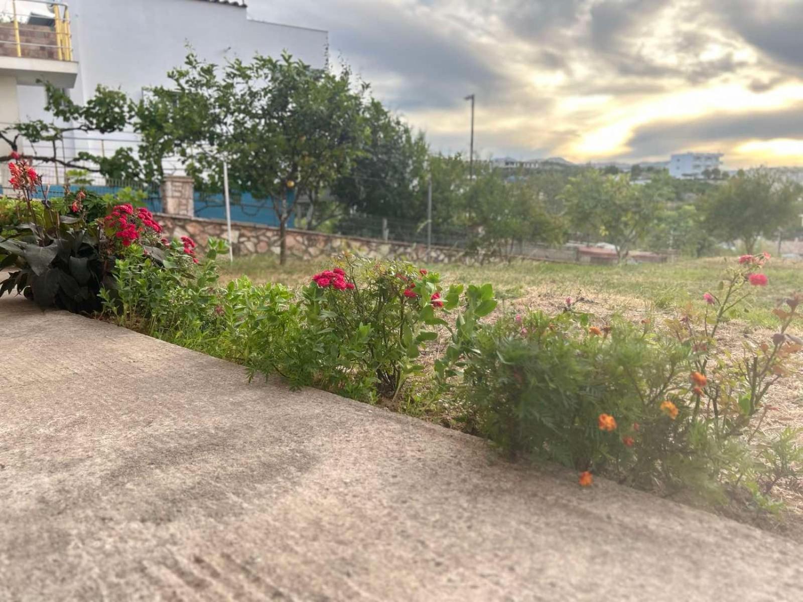 Ahmeti Appartement